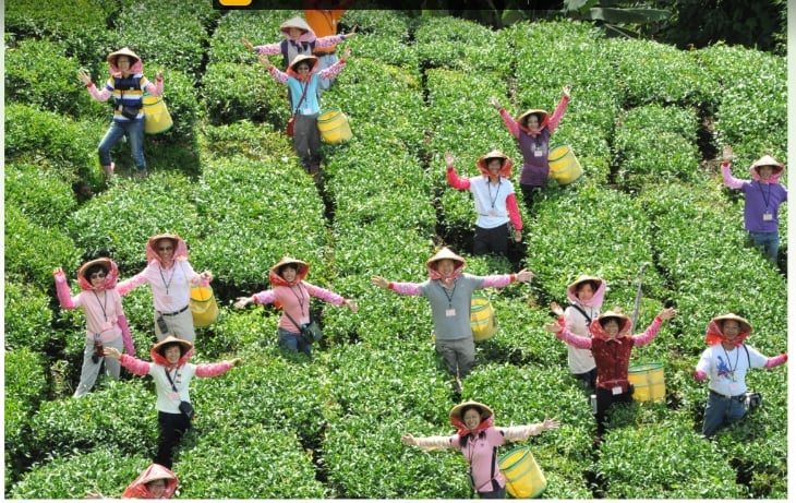 Du lịch nông nghiệp Đài Loan đã thành công nhờ phát huy chiều sâu những giá trị của sản xuất nông nghiệp truyền thống, sinh hoạt và sinh cảnh nông thôn. Ảnh: VnMedia. Du lịch nông nghiệp Đài Loan đã thành công nhờ phát huy chiều sâu những giá trị của sản xuất nông nghiệp truyền thống, sinh hoạt và sinh cảnh nông thôn. Ảnh: VnMedia.