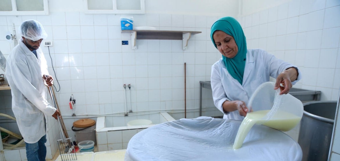 Making cheese in Tunisia.