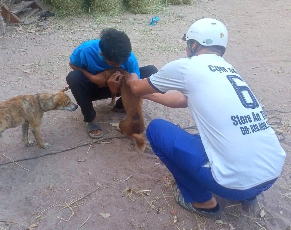 Tiêm vacxin phòng bệnh dại cho chó tại Gia Lai. Ảnh: ĐL. Tiêm vacxin phòng bệnh dại cho chó tại Gia Lai. Ảnh: ĐL.