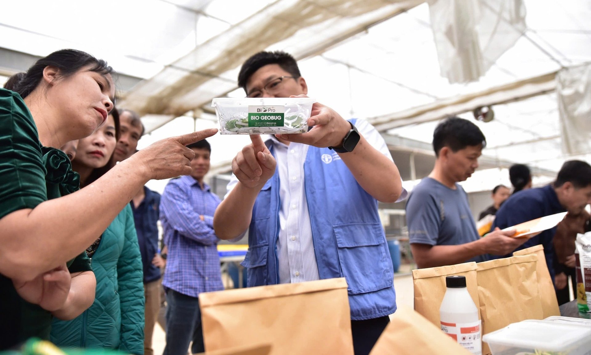Chuyên gia FAO tại Việt Nam giới thiệu một số loài thiên địch giúp tiêu diệt sâu, nhện hại hiệu quả. Ảnh: Kiều Chi. Chuyên gia FAO tại Việt Nam giới thiệu một số loài thiên địch giúp tiêu diệt sâu, nhện hại hiệu quả. Ảnh: Kiều Chi.