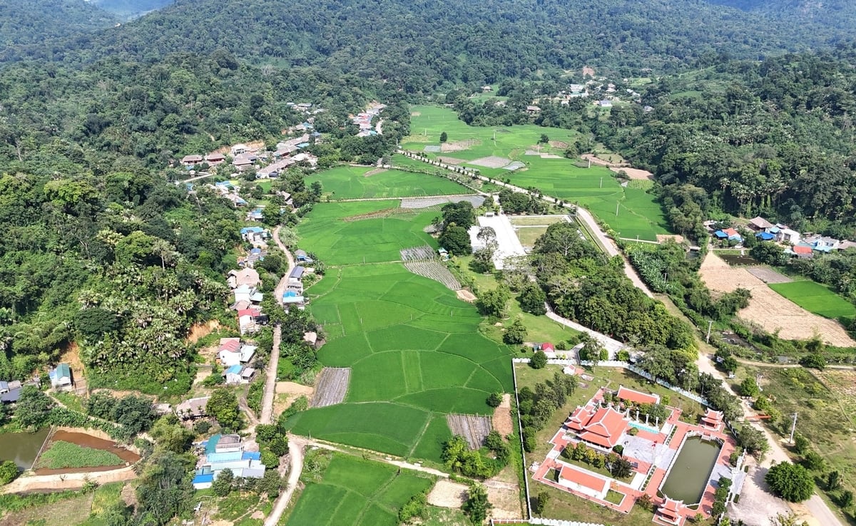 Riêng Khu di tích Quốc gia đặc biệt Tân Trào, huyện Sơn Dương đón trên 35 nghìn lượt khách tìm về trong kỳ nghỉ lễ, để tri ân và trải nghiệm. Riêng Khu di tích Quốc gia đặc biệt Tân Trào, huyện Sơn Dương đón trên 35 nghìn lượt khách tìm về trong kỳ nghỉ lễ, để tri ân và trải nghiệm.