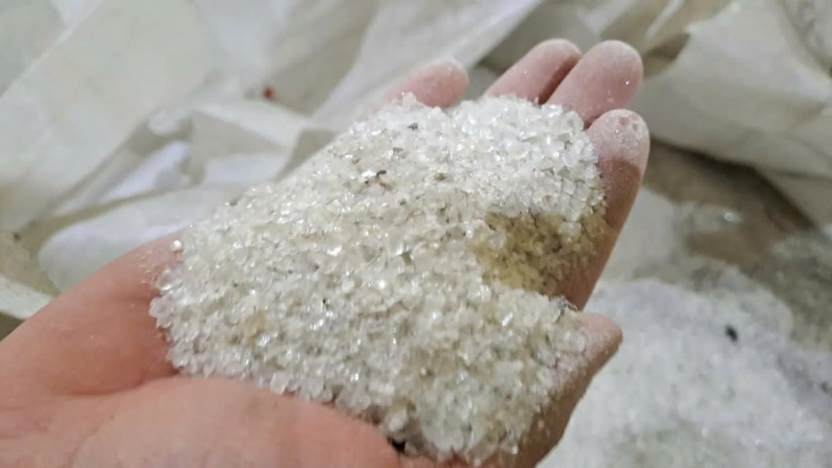 Bột kính cường lực được thu thập từ việc tái chế tấm pin mặt trời tại công ty 5R-Tech. Ảnh: Lan Anh. Bột kính cường lực được thu thập từ việc tái chế tấm pin mặt trời tại công ty 5R-Tech. Ảnh: Lan Anh.