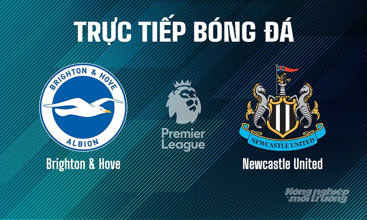 Trực tiếp bóng đá Ngoại hạng Anh giữa Brighton vs Newcastle United hôm nay 4/5/2025 Trực tiếp bóng đá Ngoại hạng Anh giữa Brighton vs Newcastle United hôm nay 4/5/2025