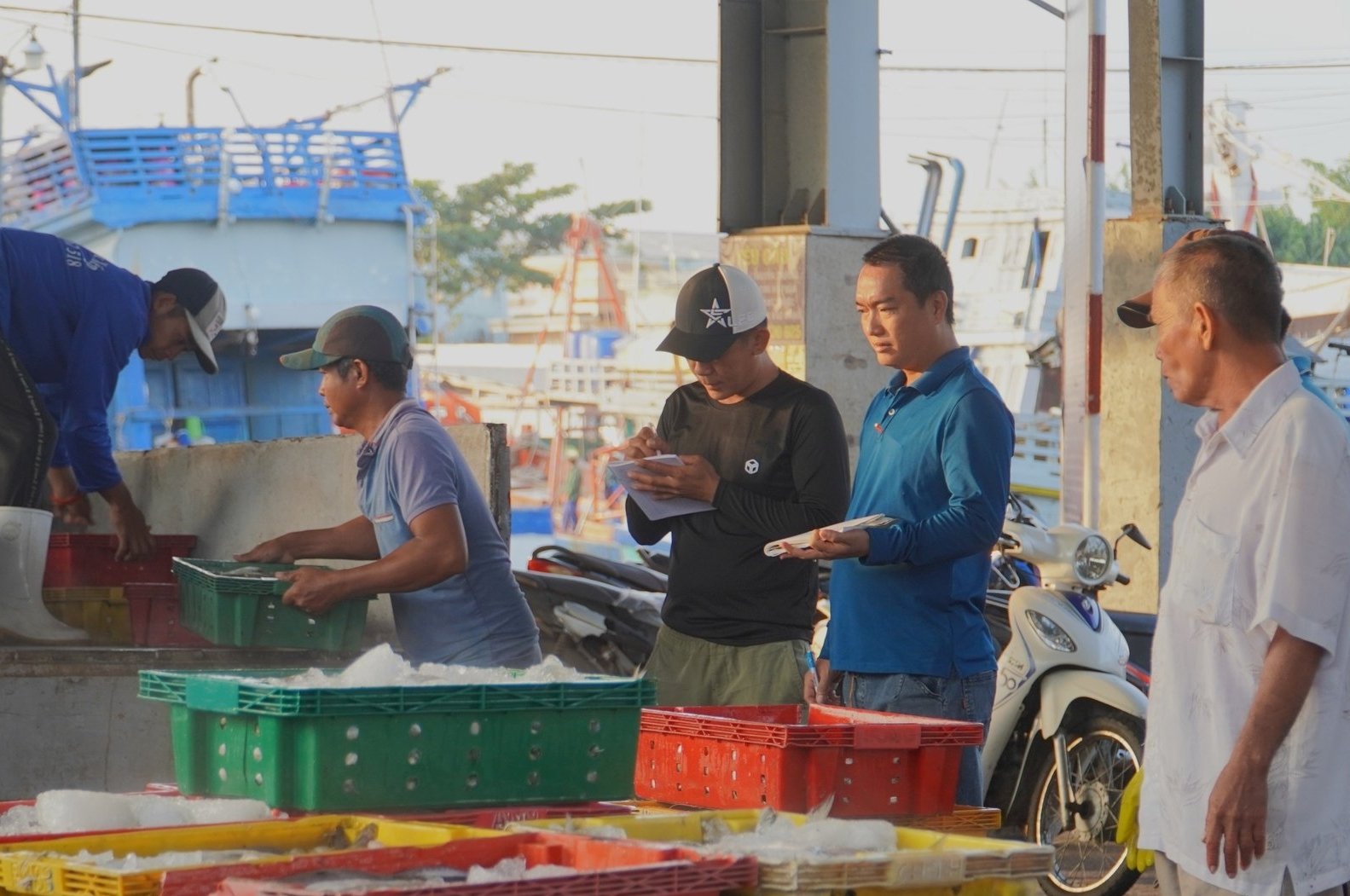 100% số tàu cá đều thực hiện đầy đủ việc kiểm soát ra vào cảng, khai báo sản lượng, nộp nhật ký khai thác. Ảnh: Kim Anh. 100% số tàu cá đều thực hiện đầy đủ việc kiểm soát ra vào cảng, khai báo sản lượng, nộp nhật ký khai thác. Ảnh: Kim Anh.