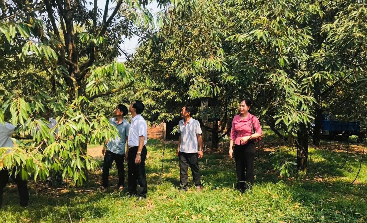 Hội Nông dân xã Long Hà thăm mô hình sản xuất của hội viên. Ảnh: Trần Trung. Hội Nông dân xã Long Hà thăm mô hình sản xuất của hội viên. Ảnh: Trần Trung.
