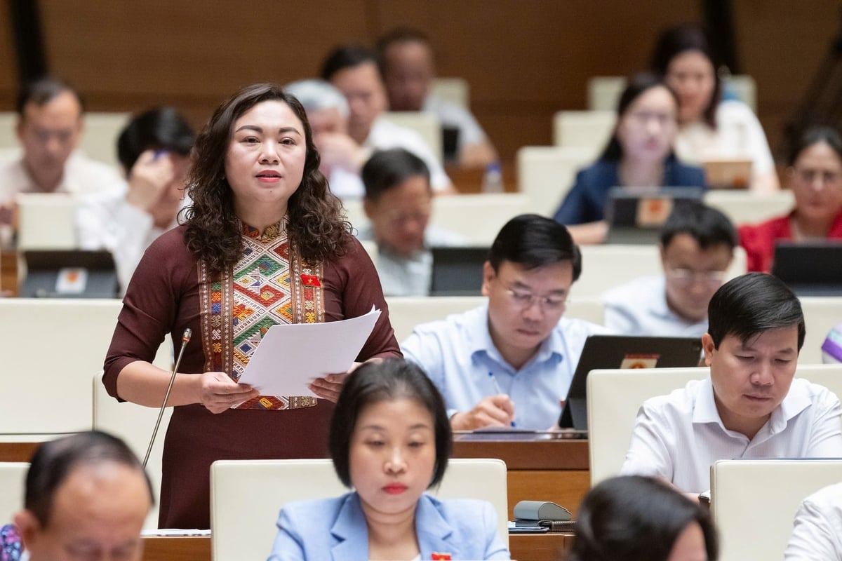 Đại biểu Đặng Bích Ngọc (Hòa Bình). Ảnh: Như Ý. Đại biểu Đặng Bích Ngọc (Hòa Bình). Ảnh: Như Ý.