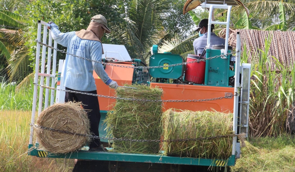 Nhiều HTX nông nghiệp ở Trà Vinh đã trang bị máy cuộn rơm đưa rơm khỏi đồng ruộng. Ảnh: Lê Hùng. Nhiều HTX nông nghiệp ở Trà Vinh đã trang bị máy cuộn rơm đưa rơm khỏi đồng ruộng. Ảnh: Lê Hùng.