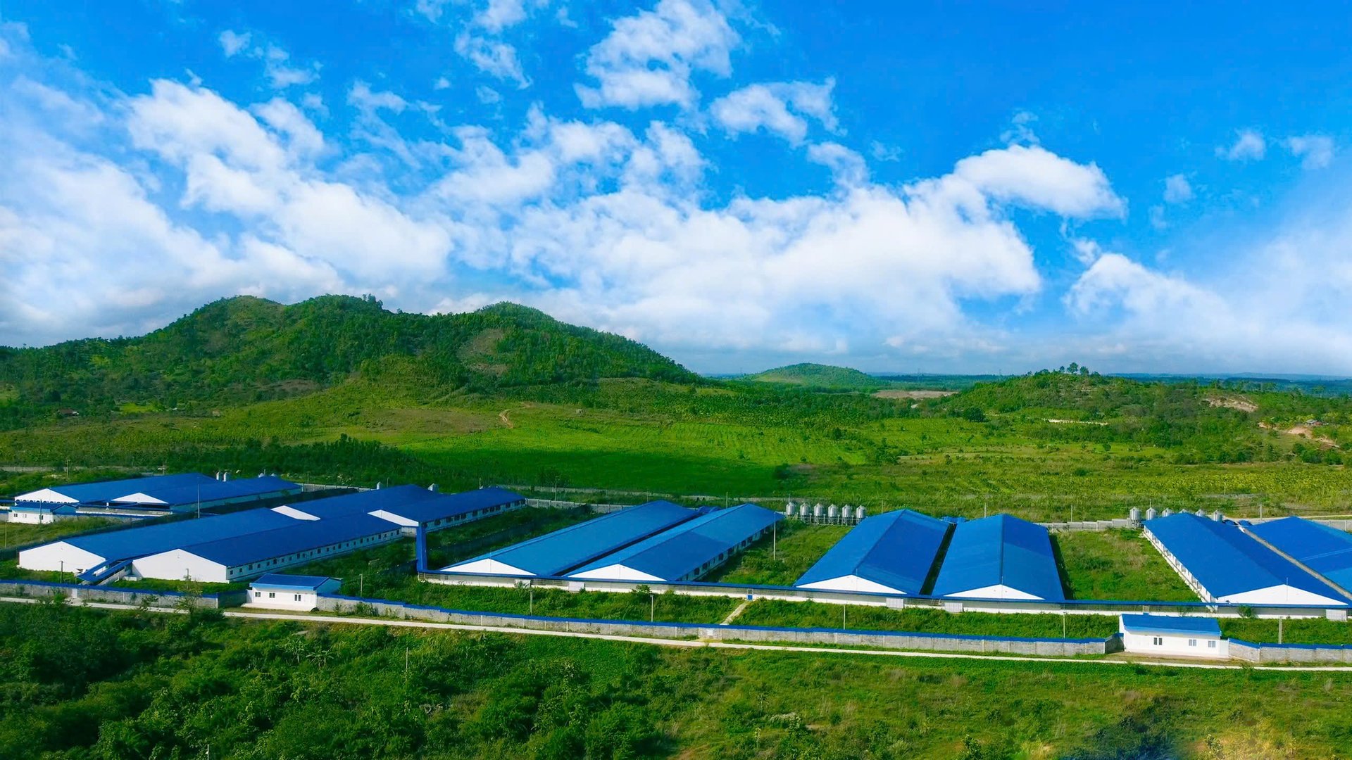 Nhiều khu chăn nuôi của Hùng Nhơn đã đạt tiêu chuẩn vùng an toàn dịch bệnh. Ảnh: MP. Nhiều khu chăn nuôi của Hùng Nhơn đã đạt tiêu chuẩn vùng an toàn dịch bệnh. Ảnh: MP.