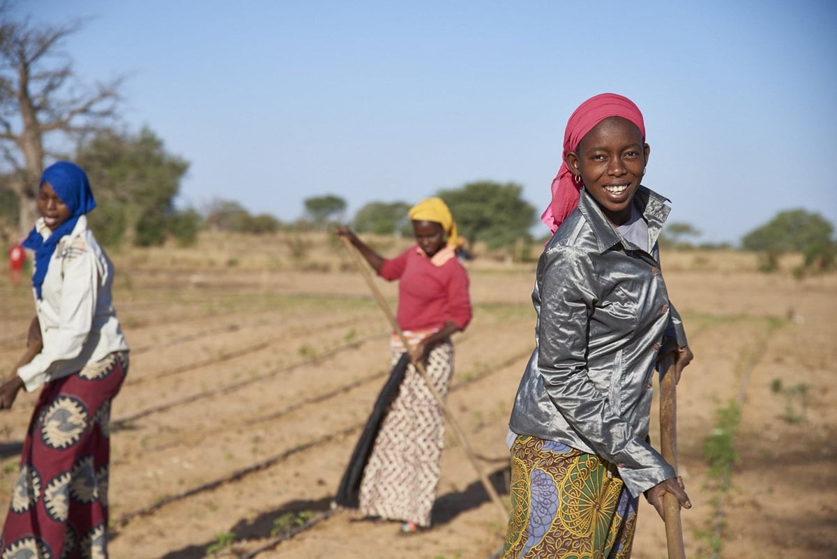 Fatou Ndiaye (phải) phấn khởi vì lịch gieo trồng được dự báo sớm, chủ động. Ảnh: PASA.