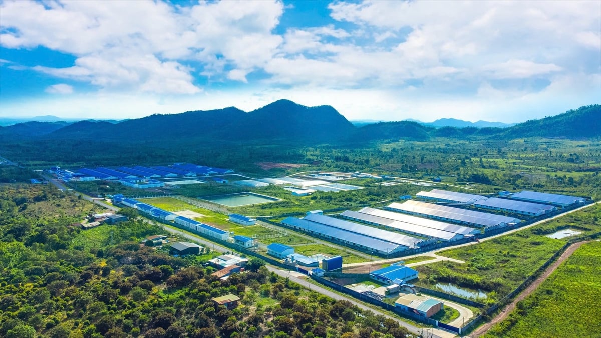 Vietnam’s private economy has steadily expanded in both scale and quality. 