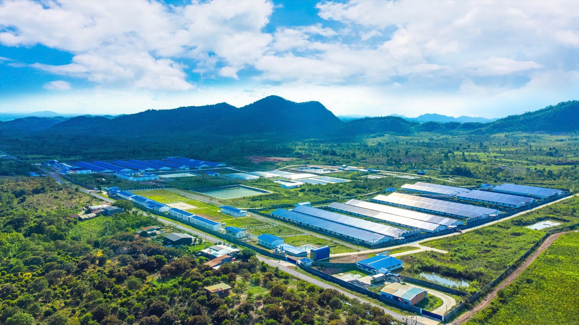 Hùng Nhơn đã đầu tư quy hoạch vùng chăn nuôi tách biệt với khu dân cư, có hành lang an toàn sinh học và kiểm soát nghiêm ngặt mọi hoạt động ra, vào trang trại. Ảnh: MP. Hùng Nhơn đã đầu tư quy hoạch vùng chăn nuôi tách biệt với khu dân cư, có hành lang an toàn sinh học và kiểm soát nghiêm ngặt mọi hoạt động ra, vào trang trại. Ảnh: MP.