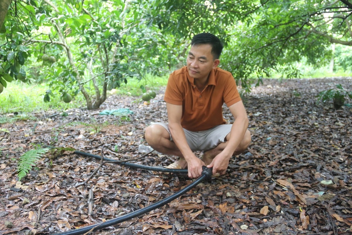 Nhờ có hệ thống tưới tự động, việc tưới cây của người dân đã trở nên dễ dàng hơn rất nhiều. Ảnh: Phạm Hiếu. Nhờ có hệ thống tưới tự động, việc tưới cây của người dân đã trở nên dễ dàng hơn rất nhiều. Ảnh: Phạm Hiếu.