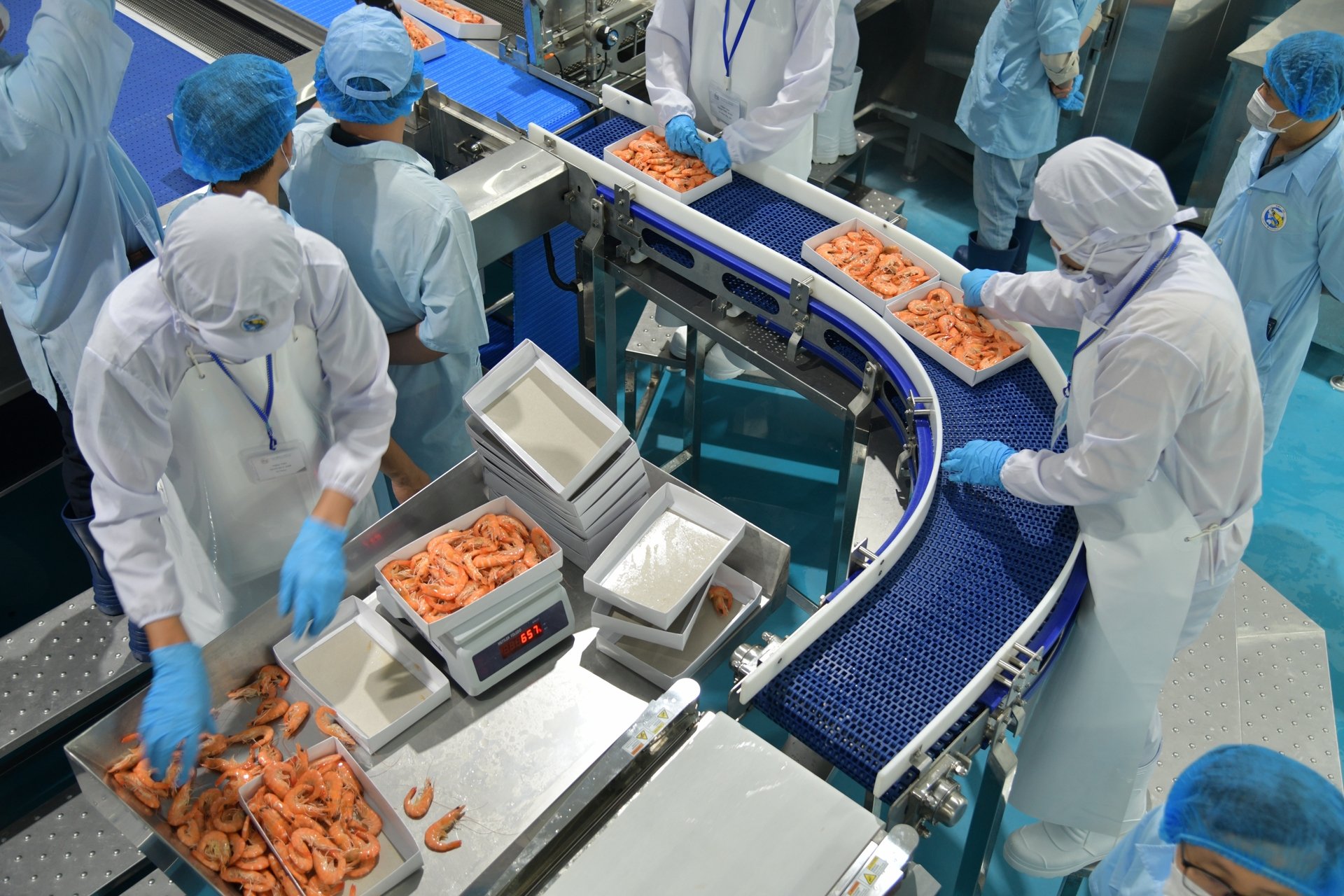 Doanh nghiệp cần chú trọng đào tạo, nâng cao nhận thức về tiêu chuẩn Halal và văn hóa tiêu dùng của thị trường Hồi giáo. Ảnh: Hồng Thắm.