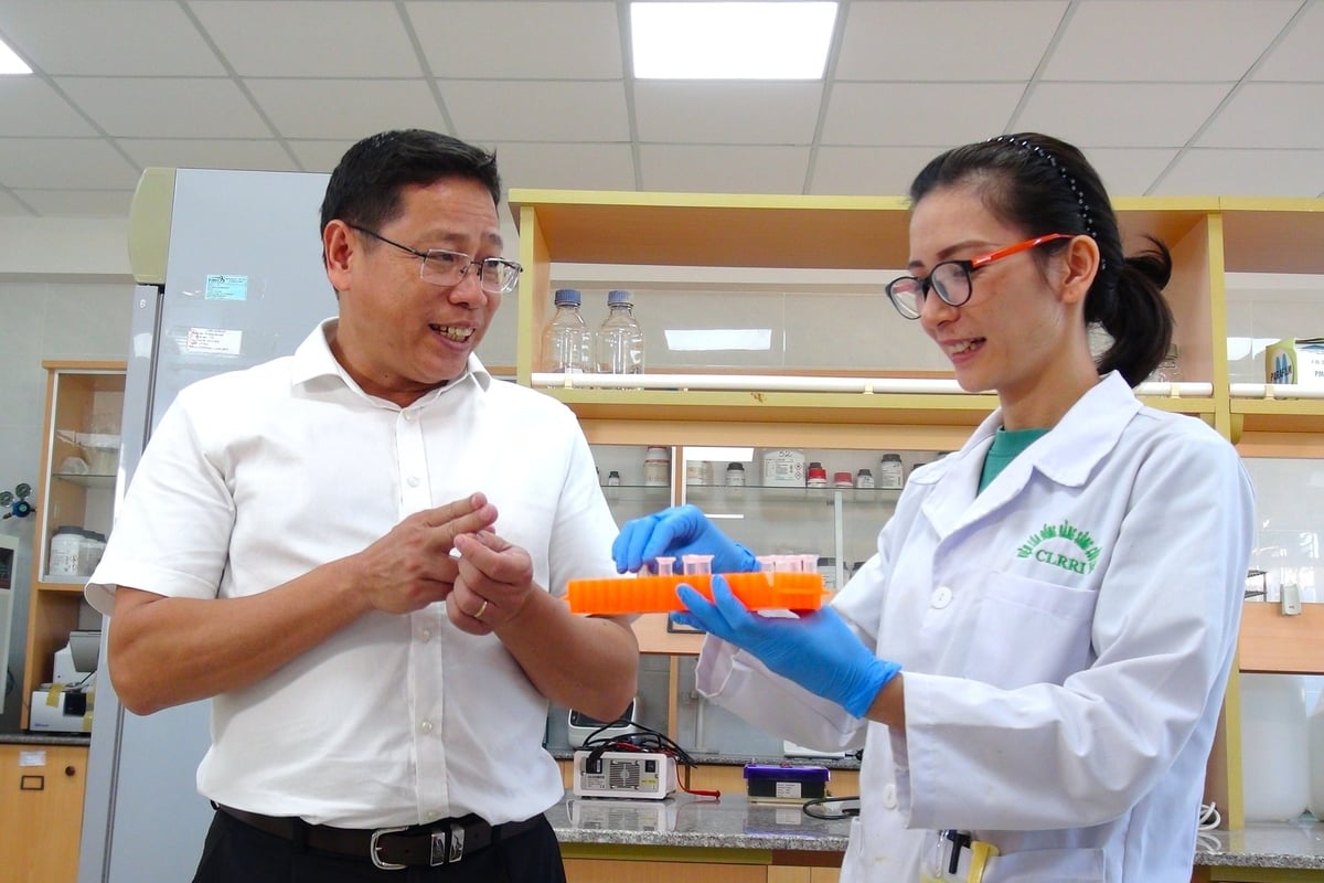 Viện Lúa ĐBSCL tin tưởng và kỳ vọng cơ chế mới từ Nghị quyết 57 sẽ 'cởi trói' cho các nhà khoa học. Ảnh: Kim Anh. Viện Lúa ĐBSCL tin tưởng và kỳ vọng cơ chế mới từ Nghị quyết 57 sẽ 'cởi trói' cho các nhà khoa học. Ảnh: Kim Anh.