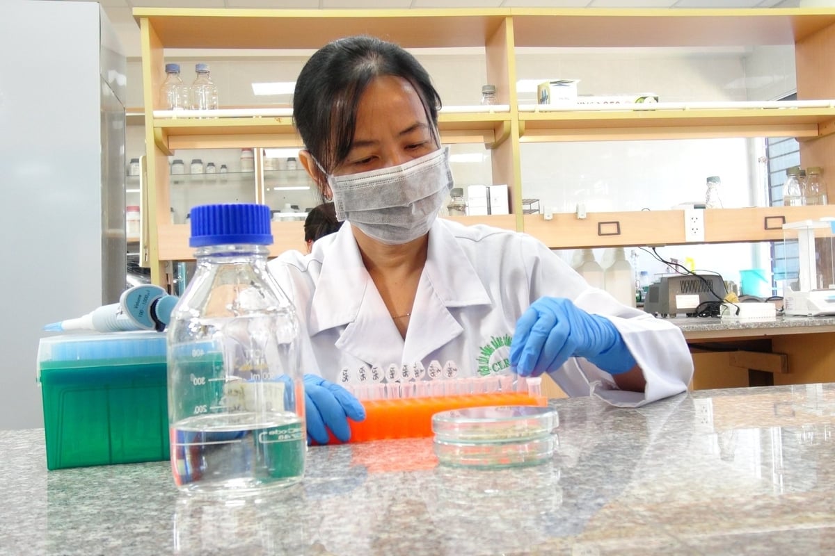 Với Nghị quyết 57, các nhà khoa học có thể chủ động hơn trong tổ chức nghiên cứu. Ảnh: Kim Anh. Với Nghị quyết 57, các nhà khoa học có thể chủ động hơn trong tổ chức nghiên cứu. Ảnh: Kim Anh.