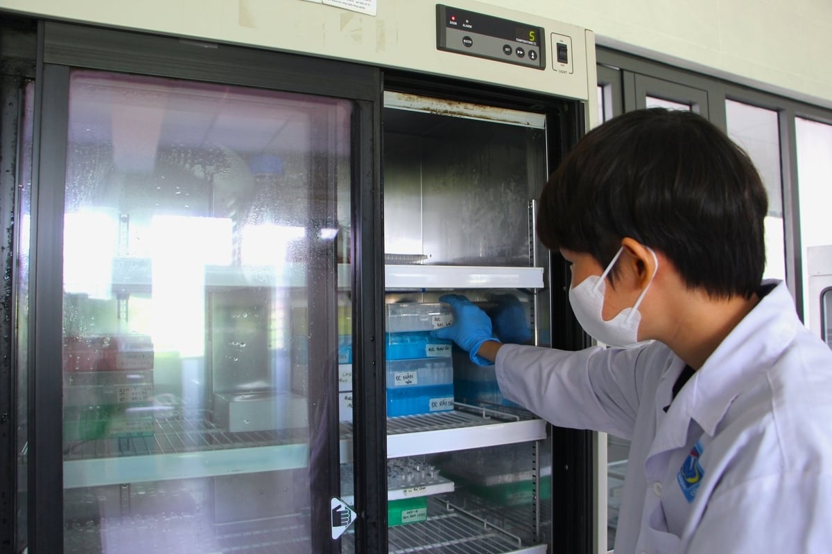 Nghị quyết 57 và Nghị quyết 193 được kỳ vọng sẽ giúp kết quả nghiên cứu không còn 'nằm trên giấy' mà nhanh chóng ứng dụng vào thực tiễn đồng ruộng. Ảnh: Kim Anh. Nghị quyết 57 và Nghị quyết 193 được kỳ vọng sẽ giúp kết quả nghiên cứu không còn 'nằm trên giấy' mà nhanh chóng ứng dụng vào thực tiễn đồng ruộng. Ảnh: Kim Anh.