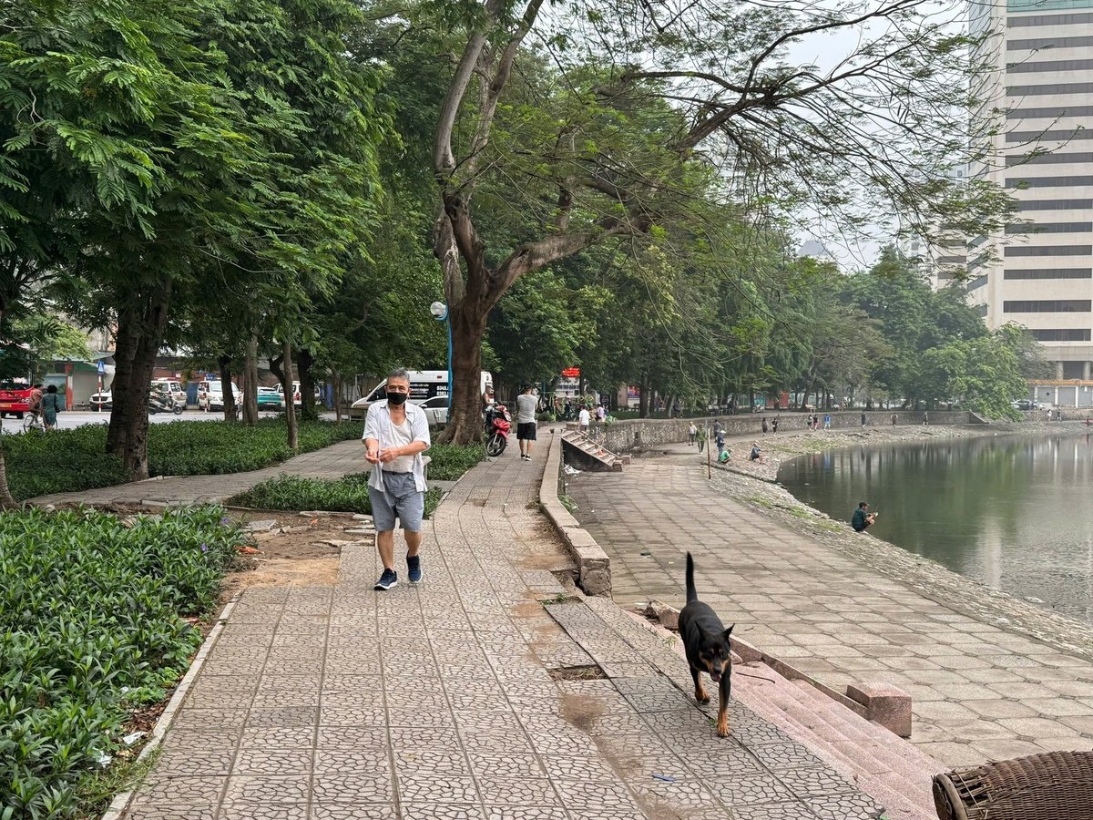 Chó thả rông tại khu vực hồ Giảng Võ. Ảnh: VH. Chó thả rông tại khu vực hồ Giảng Võ. Ảnh: VH.