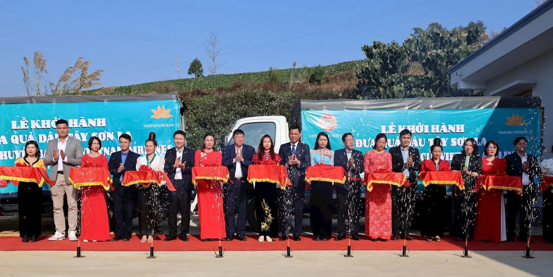 Khởi hành đưa quả dâu tây Sơn La lên chuyến bay của Vietnam Airlines - bước tiến quan trọng trong hành trình đưa nông sản địa phương vươn xa. Ảnh: Nguyễn Nga. Khởi hành đưa quả dâu tây Sơn La lên chuyến bay của Vietnam Airlines - bước tiến quan trọng trong hành trình đưa nông sản địa phương vươn xa. Ảnh: Nguyễn Nga.