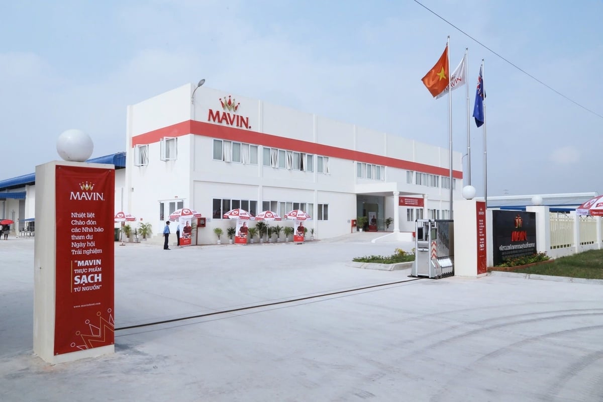 Mavin Foods Processing Plant in Dong Van II Industrial Park, Ha Nam. Photo: Mavin.