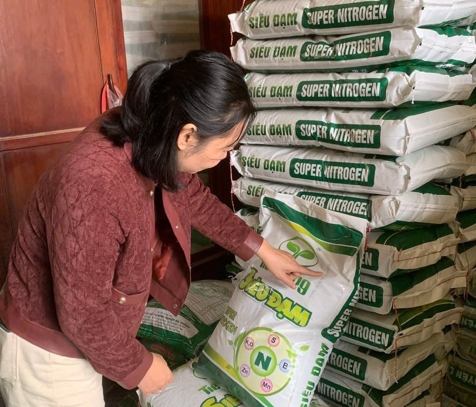 Sản phẩm Siêu Đạm Tiến Nông đang được phân phối tại các đại lý phân bón trên toàn quốc. Ảnh: Duyên Hoàng. Sản phẩm Siêu Đạm Tiến Nông đang được phân phối tại các đại lý phân bón trên toàn quốc. Ảnh: Duyên Hoàng.