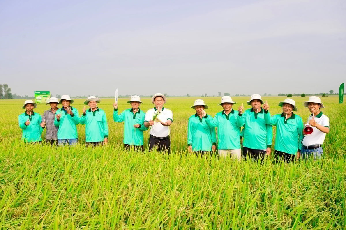 Mới đây, tại huyện Tháp Mười, tỉnh Đồng Tháp, mô hình 'Sử dụng thuốc bảo vệ thực vật (BVTV) an toàn, hiệu quả và sử dụng thuốc BVTV sinh học trên lúa' do Công ty Map Pacific Singapore tổ chức. Ảnh: Lê Hoàng Vũ. Mới đây, tại huyện Tháp Mười, tỉnh Đồng Tháp, mô hình 'Sử dụng thuốc bảo vệ thực vật (BVTV) an toàn, hiệu quả và sử dụng thuốc BVTV sinh học trên lúa' do Công ty Map Pacific Singapore tổ chức. Ảnh: Lê Hoàng Vũ.