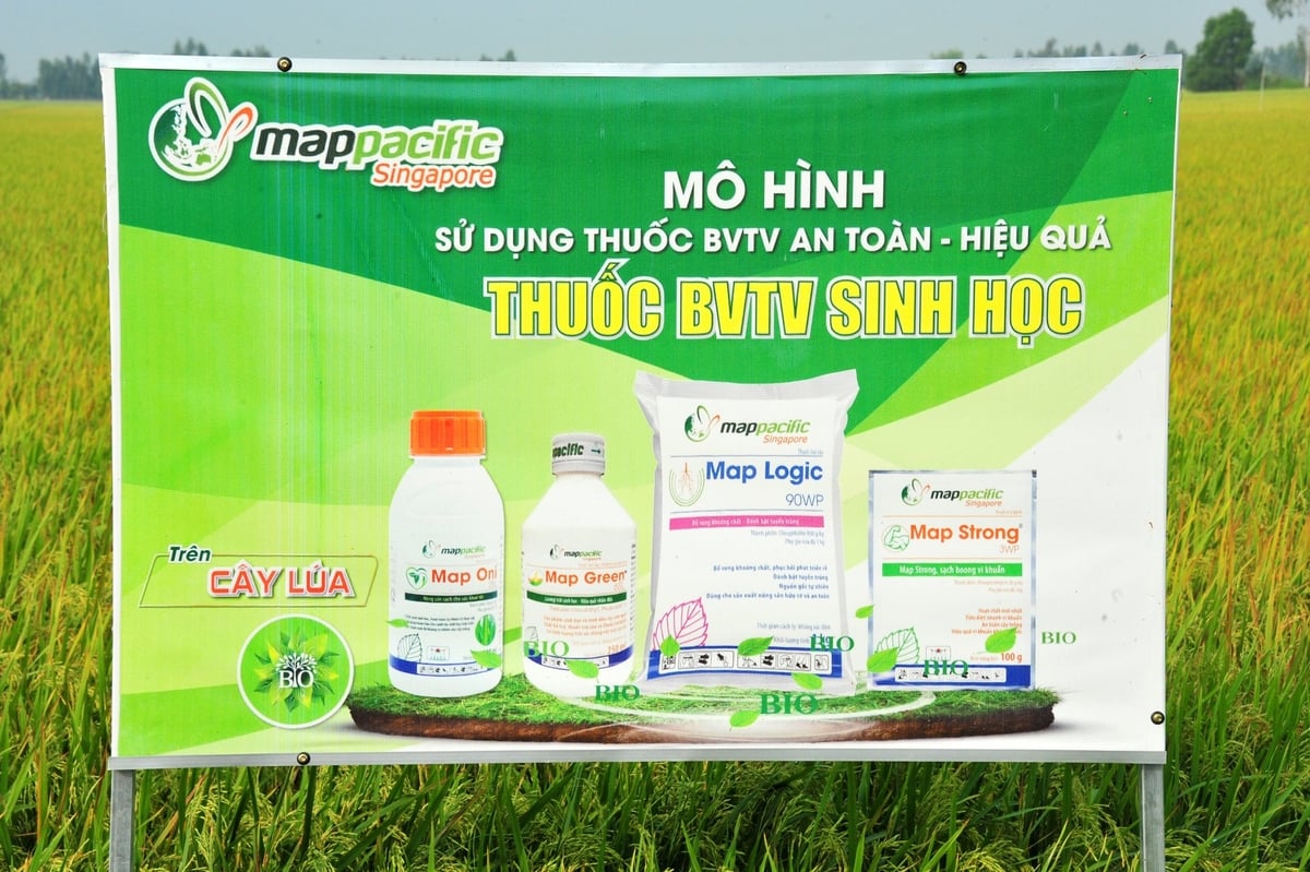 Đây là chương trình 'Cam kết phối hợp thực hiện Đề án phát triển sản xuất và sử dụng thuốc BVTV sinh học đến năm 2030, tầm nhìn đến năm 2050' giữa Cục Trồng trọt và Bảo vệ thực vật với Công ty Map Pacific Singapore. Ảnh: Lê Hoàng Vũ. Đây là chương trình 'Cam kết phối hợp thực hiện Đề án phát triển sản xuất và sử dụng thuốc BVTV sinh học đến năm 2030, tầm nhìn đến năm 2050' giữa Cục Trồng trọt và Bảo vệ thực vật với Công ty Map Pacific Singapore. Ảnh: Lê Hoàng Vũ.