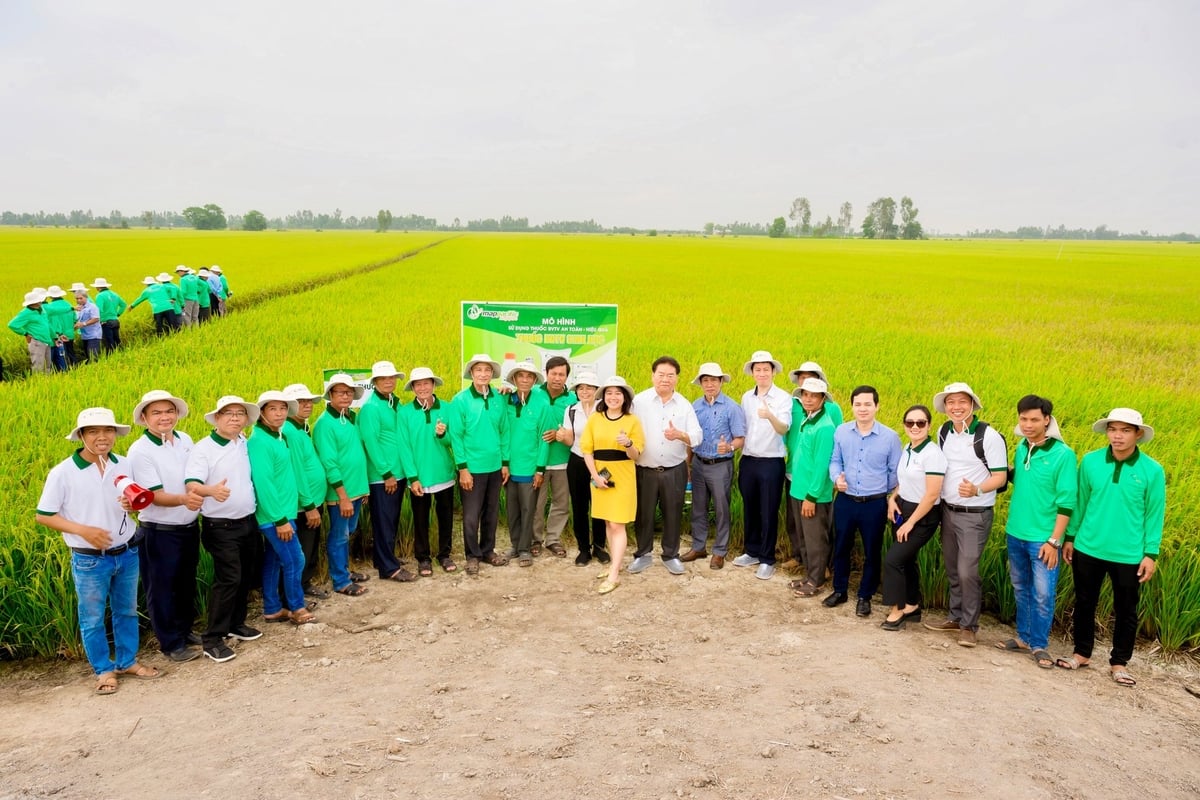 Mô hình sử dụng thuốc BVTV sinh học cũng được thực hiện song song nhằm tạo cơ hội cho người dân trực tiếp áp dụng thực tế và đánh giá kết quả. Ảnh: Lê Hoàng Vũ. Mô hình sử dụng thuốc BVTV sinh học cũng được thực hiện song song nhằm tạo cơ hội cho người dân trực tiếp áp dụng thực tế và đánh giá kết quả. Ảnh: Lê Hoàng Vũ.