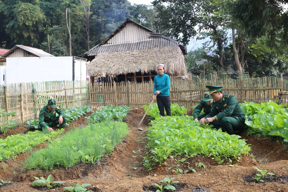 Đồn Biên phòng Hiền Kiệt hướng dẫn người dân bản Chiềng Căm chăm sóc vườn rau. Ảnh: Thanh Tâm.