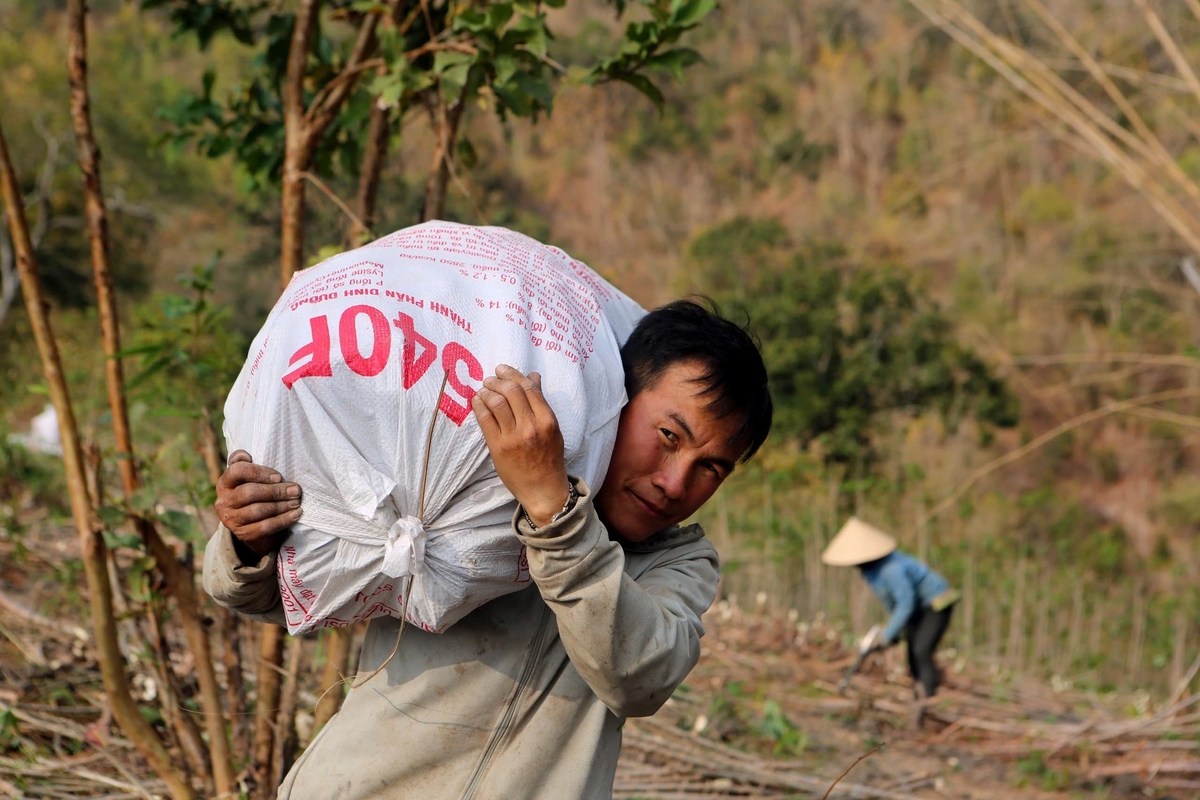 Mục tiêu để người dân chủ động phát triển kinh tế, vươn lên thoát nghèo bằng chính sức mình. Ảnh: Thanh Tâm.