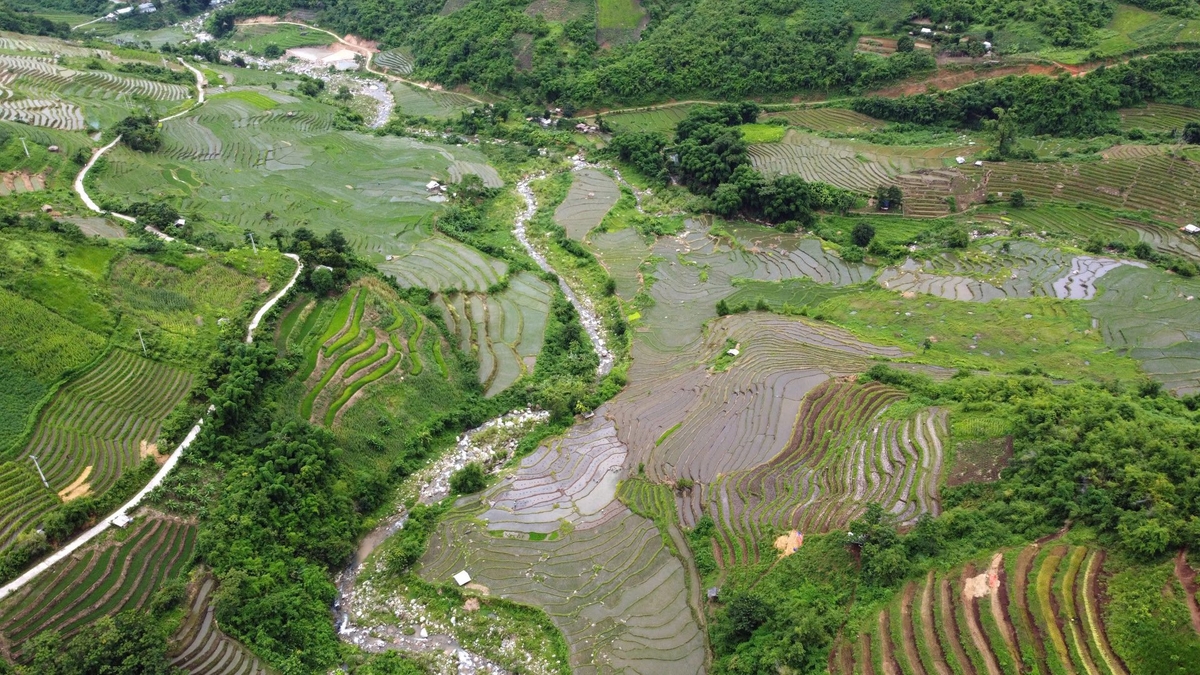 Mô hình điểm 'Bản sáng vùng biên' chú trọng hướng dẫn người dân trồng trọt, chăn nuôi phát triển kinh tế. Ảnh: Thanh Tâm.