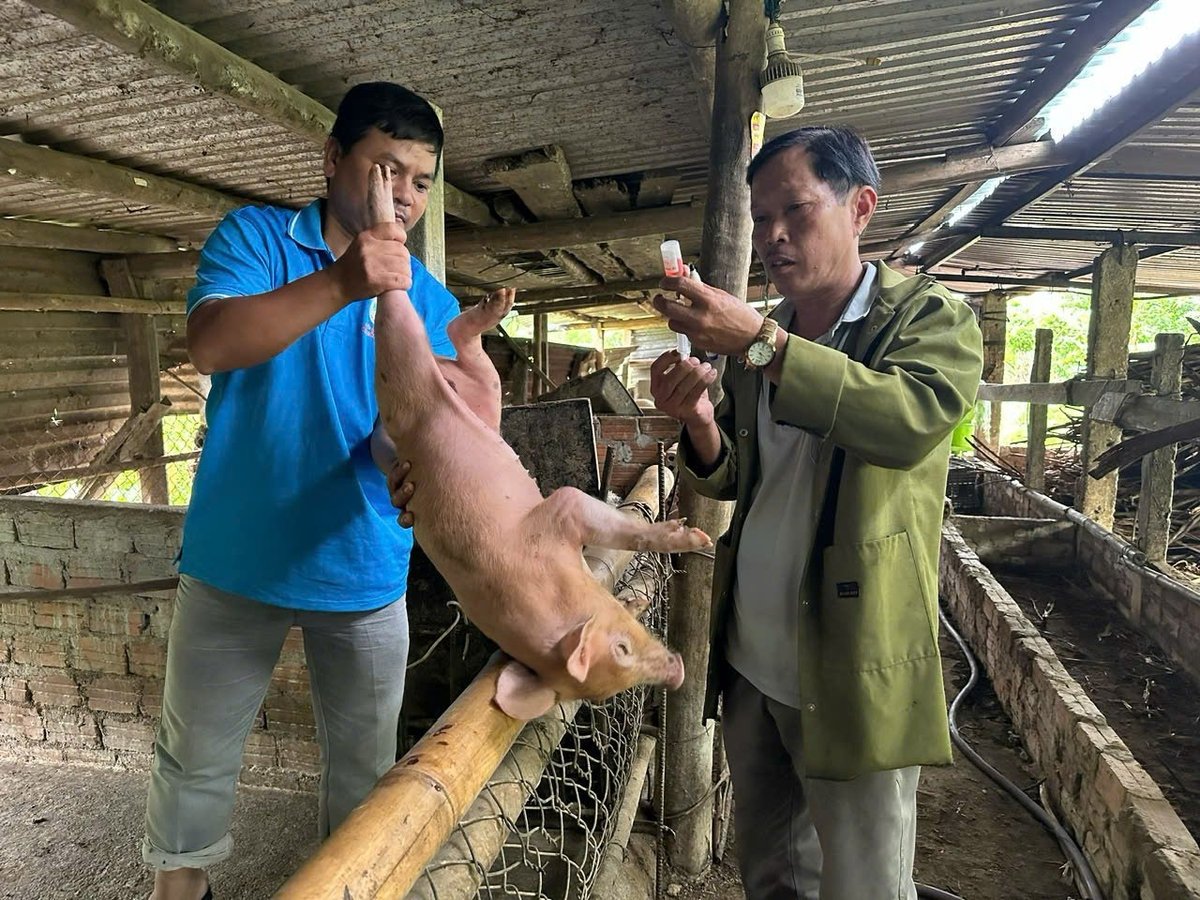 Đẩy mạnh công tác tiêm phòng vacxin cho đàn vật nuôi. Ảnh: Lan Anh. Đẩy mạnh công tác tiêm phòng vacxin cho đàn vật nuôi. Ảnh: Lan Anh.