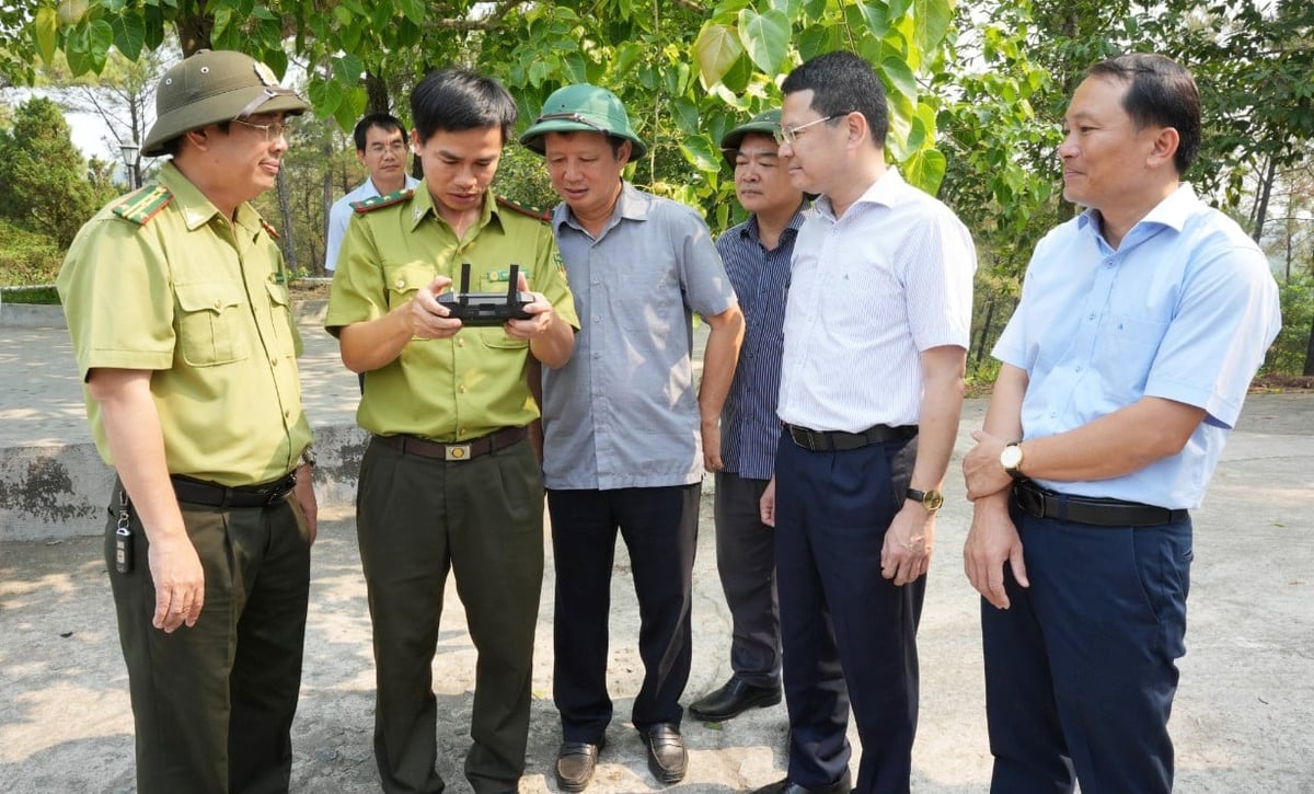 Lãnh đạo TP Huế, Sở Nông nghiệp và Môi trường kiểm tra công tác PCCCR. Ảnh: Văn Dinh. Lãnh đạo TP Huế, Sở Nông nghiệp và Môi trường kiểm tra công tác PCCCR. Ảnh: Văn Dinh.
