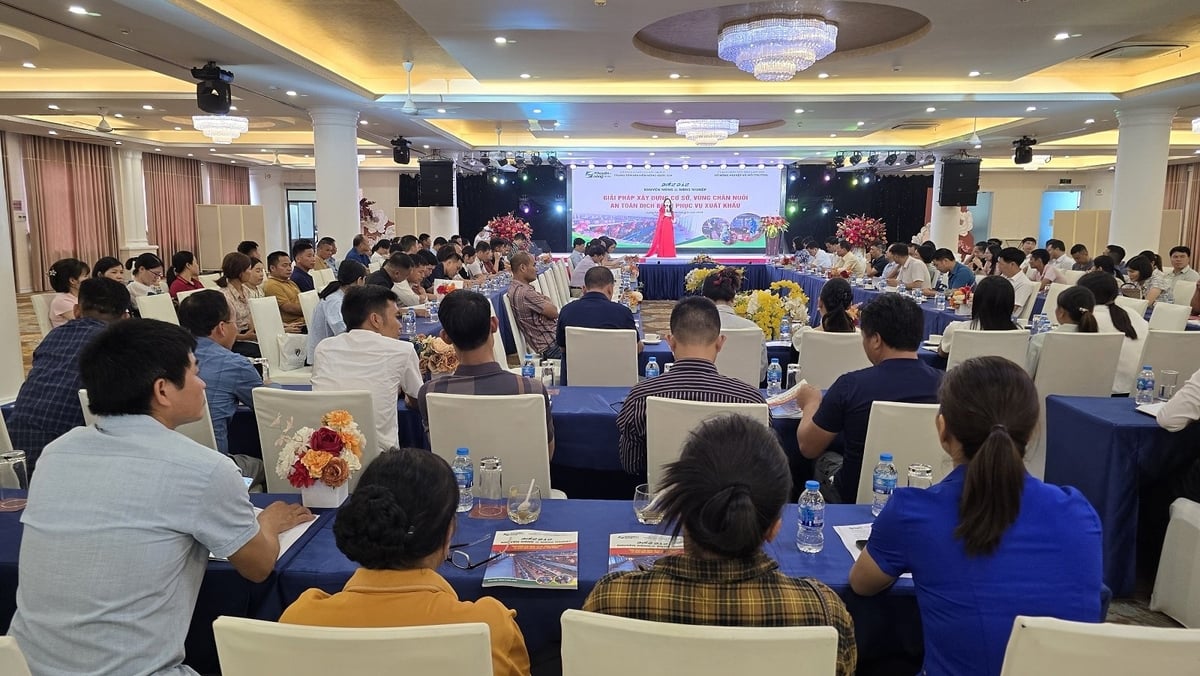 Diễn đàn Khuyến nông @ Nông nghiệp về 'Giải pháp xây dựng cơ sở, vùng chăn nuôi an toàn dịch bệnh phục vụ xuất khẩu'. Ảnh: Hoàng Nghĩa. Diễn đàn Khuyến nông @ Nông nghiệp về 'Giải pháp xây dựng cơ sở, vùng chăn nuôi an toàn dịch bệnh phục vụ xuất khẩu'. Ảnh: Hoàng Nghĩa.