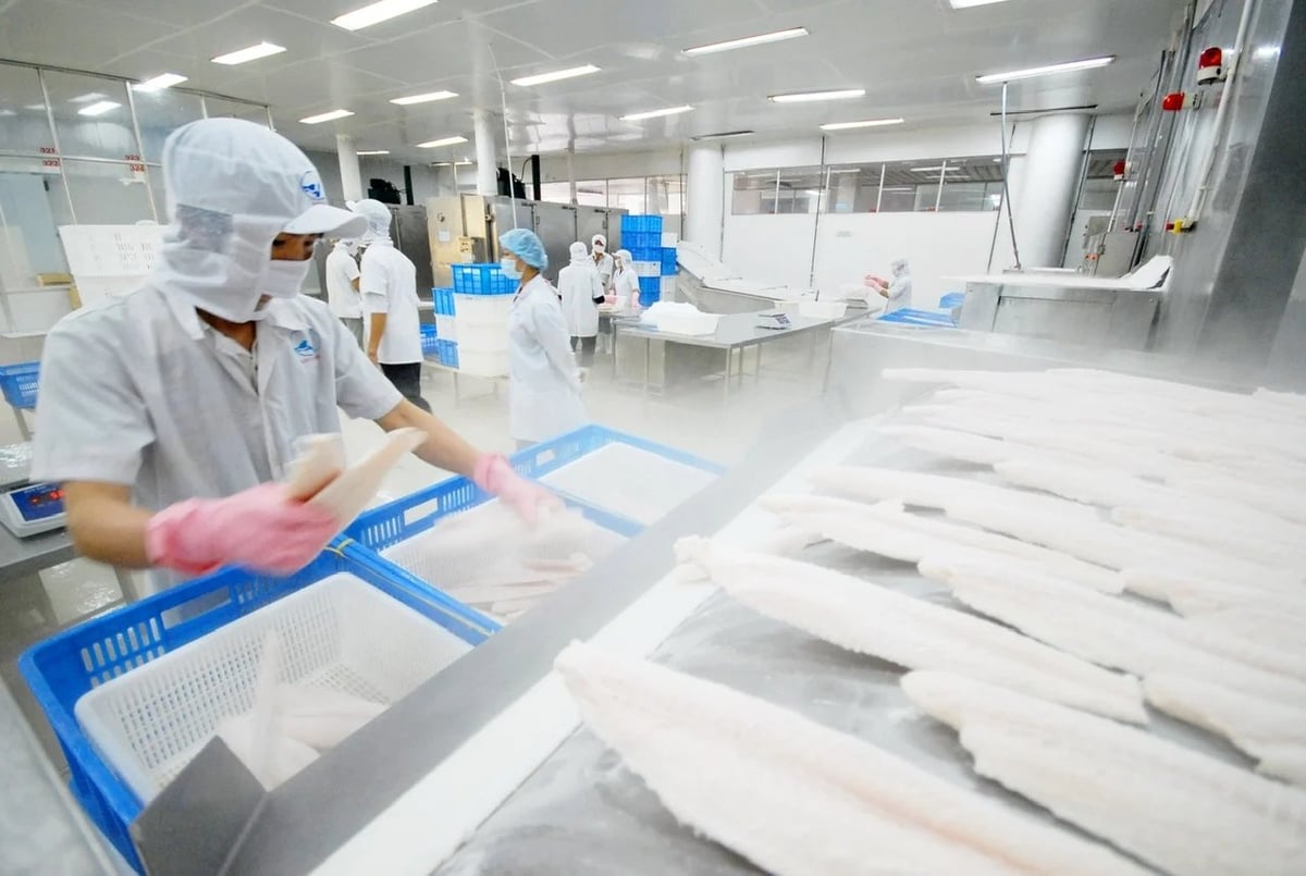Kim ngạch xuất khẩu thủy sản 4 tháng đầu năm lên tới 3,09 tỷ USD. Ảnh: Hồng Thắm. Kim ngạch xuất khẩu thủy sản 4 tháng đầu năm lên tới 3,09 tỷ USD. Ảnh: Hồng Thắm.