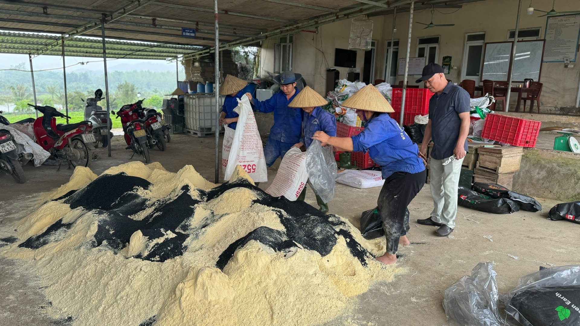HTX trộn ủ bột ngô, bột đậu nành, cám gạo với men vi sinh để bón cho cây, tăng độ ngọt cho quả. Ảnh: Ánh Nguyệt. HTX trộn ủ bột ngô, bột đậu nành, cám gạo với men vi sinh để bón cho cây, tăng độ ngọt cho quả. Ảnh: Ánh Nguyệt.