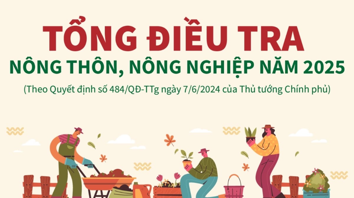 Ảnh minh họa: Chi cục Thống kê thành phố Hải Phòng. Ảnh minh họa: Chi cục Thống kê thành phố Hải Phòng.