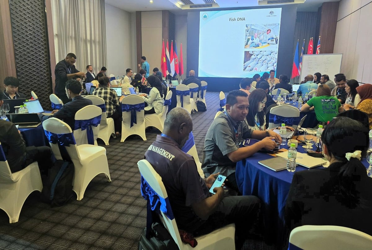 The program expects to train around 120 fisheries officers from ASEAN countries, Timor-Leste, and Papua New Guinea by its conclusion. Photo: Linh Linh.