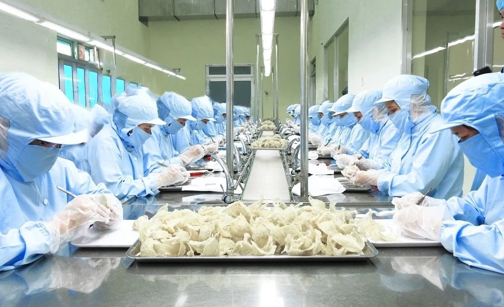 Sản phẩm tổ yến có giá trị kinh tế cao và được xem là động lực thúc đẩy xuất khẩu các sản phẩm thuộc lĩnh vực chăn nuôi. Ảnh: BT. Sản phẩm tổ yến có giá trị kinh tế cao và được xem là động lực thúc đẩy xuất khẩu các sản phẩm thuộc lĩnh vực chăn nuôi. Ảnh: BT.