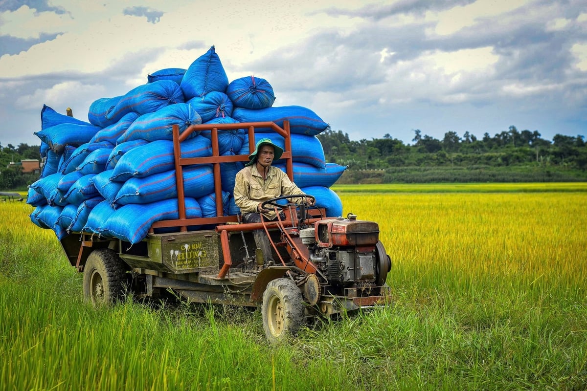Nhờ ứng dụng công nghệ cao vào sản xuất nông nghiệp, đời sống người dân huyện Krông Nô ngày càng được nâng cao. Ảnh: T.H. Nhờ ứng dụng công nghệ cao vào sản xuất nông nghiệp, đời sống người dân huyện Krông Nô ngày càng được nâng cao. Ảnh: T.H.