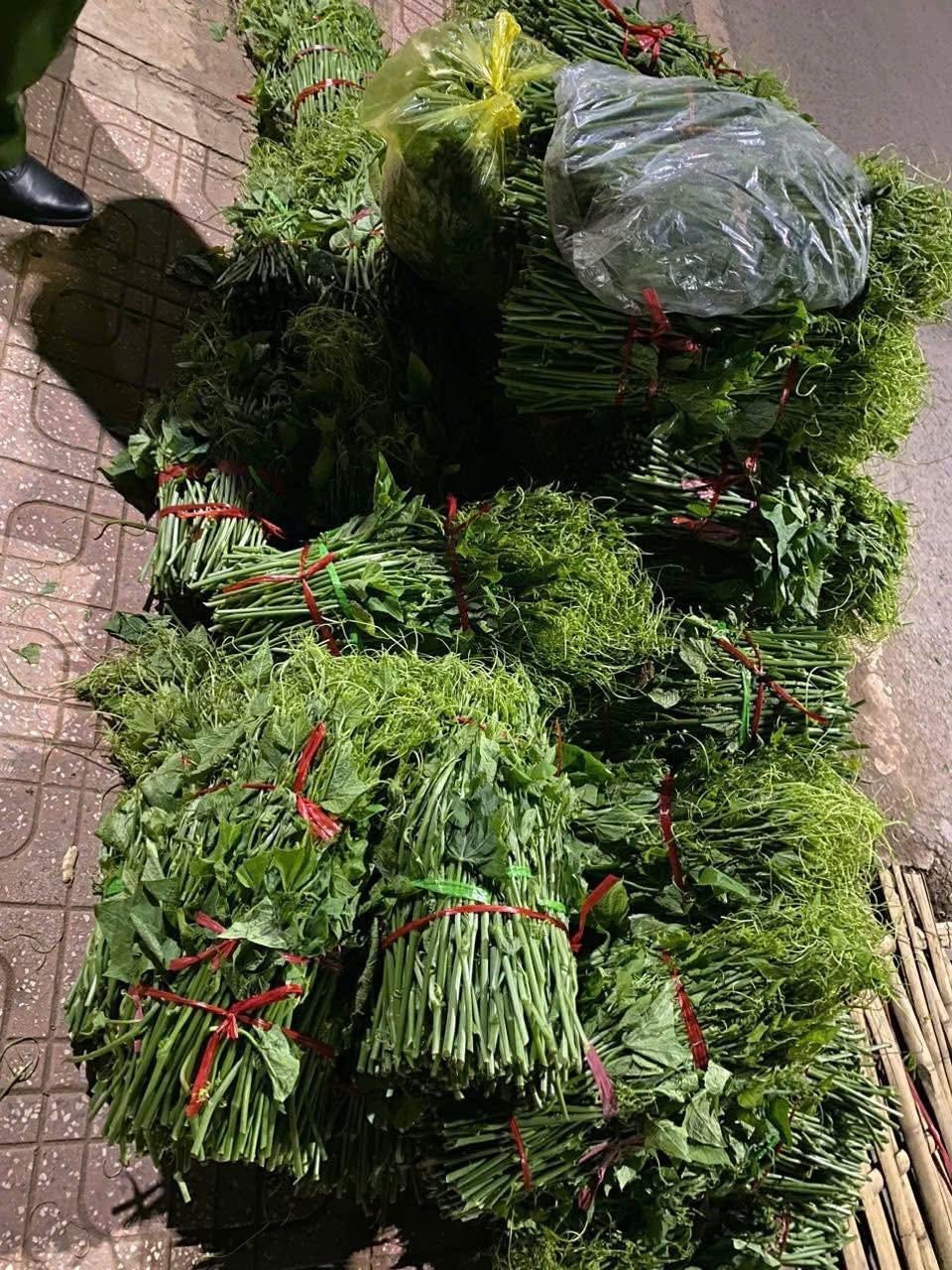 Rau đều chứa lượng lớn dư lượng thuốc Bảo vệ thực vật. Ảnh: Trung Hiếu. Rau đều chứa lượng lớn dư lượng thuốc Bảo vệ thực vật. Ảnh: Trung Hiếu.