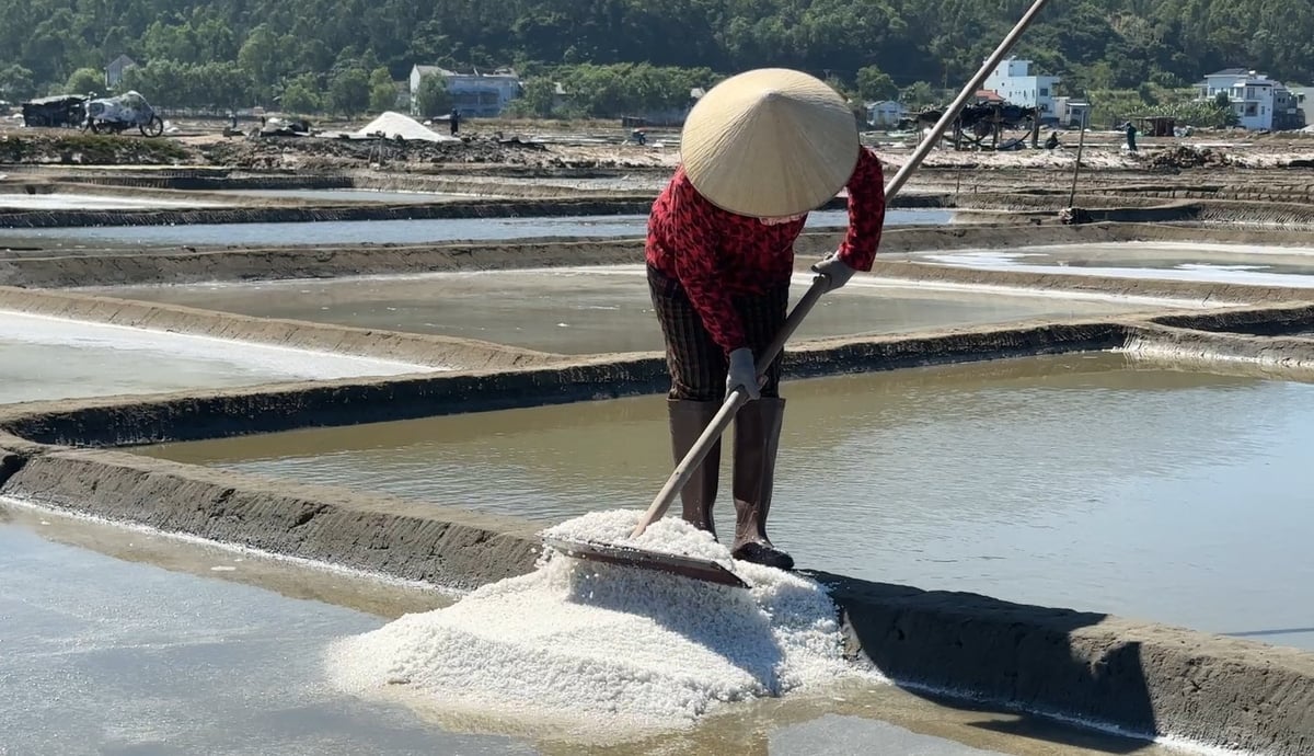 Nghề làm muối ở Sa Huỳnh được truyền qua nhiều thế hệ. Ảnh: Văn Hà. Nghề làm muối ở Sa Huỳnh được truyền qua nhiều thế hệ. Ảnh: Văn Hà.