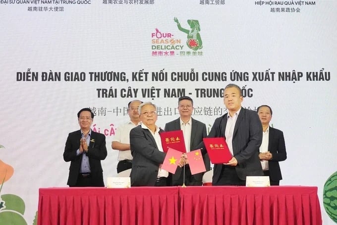 Ký kết hợp tác kinh doanh giữa Hiệp hội rau quả Việt Nam và Hiệp hội hoa quả Trung Quốc. Ảnh: Hồng Thắm. Ký kết hợp tác kinh doanh giữa Hiệp hội rau quả Việt Nam và Hiệp hội hoa quả Trung Quốc. Ảnh: Hồng Thắm.