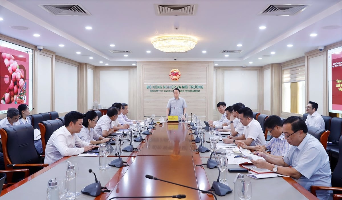 Bộ trưởng Bộ Nông nghiệp và Môi trường Đỗ Đức Duy yêu cầu các đơn vị liên quan khẩn trương xây dựng kế hoạch chỉ đạo, hướng dẫn, hỗ trợ địa phương, doanh nghiệp, nông dân sản xuất, chế biến, tiêu thụ, xuất khẩu thắng lợi vụ vải năm 2025. Ảnh: Khương Trung.