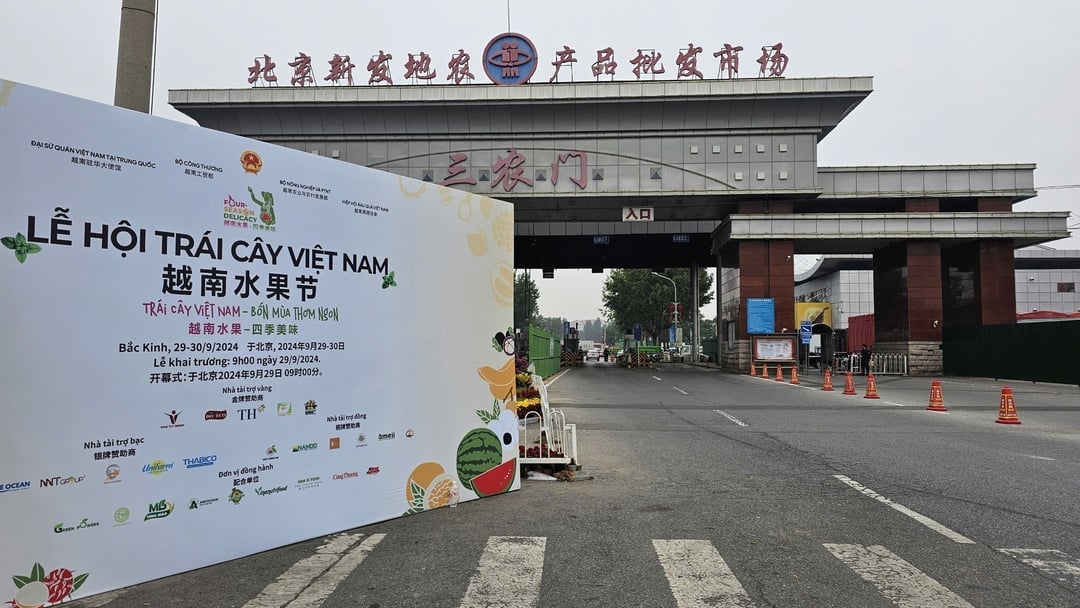 Lễ hội trái cây Việt Nam lần đầu tiên tổ chức ở Bắc Kinh vào tháng 9/2024, thu hút sự quan tâm đặc biệt của người dân thủ đô của Trung Quốc. Ảnh: Văn Việt. Lễ hội trái cây Việt Nam lần đầu tiên tổ chức ở Bắc Kinh vào tháng 9/2024, thu hút sự quan tâm đặc biệt của người dân thủ đô của Trung Quốc. Ảnh: Văn Việt.