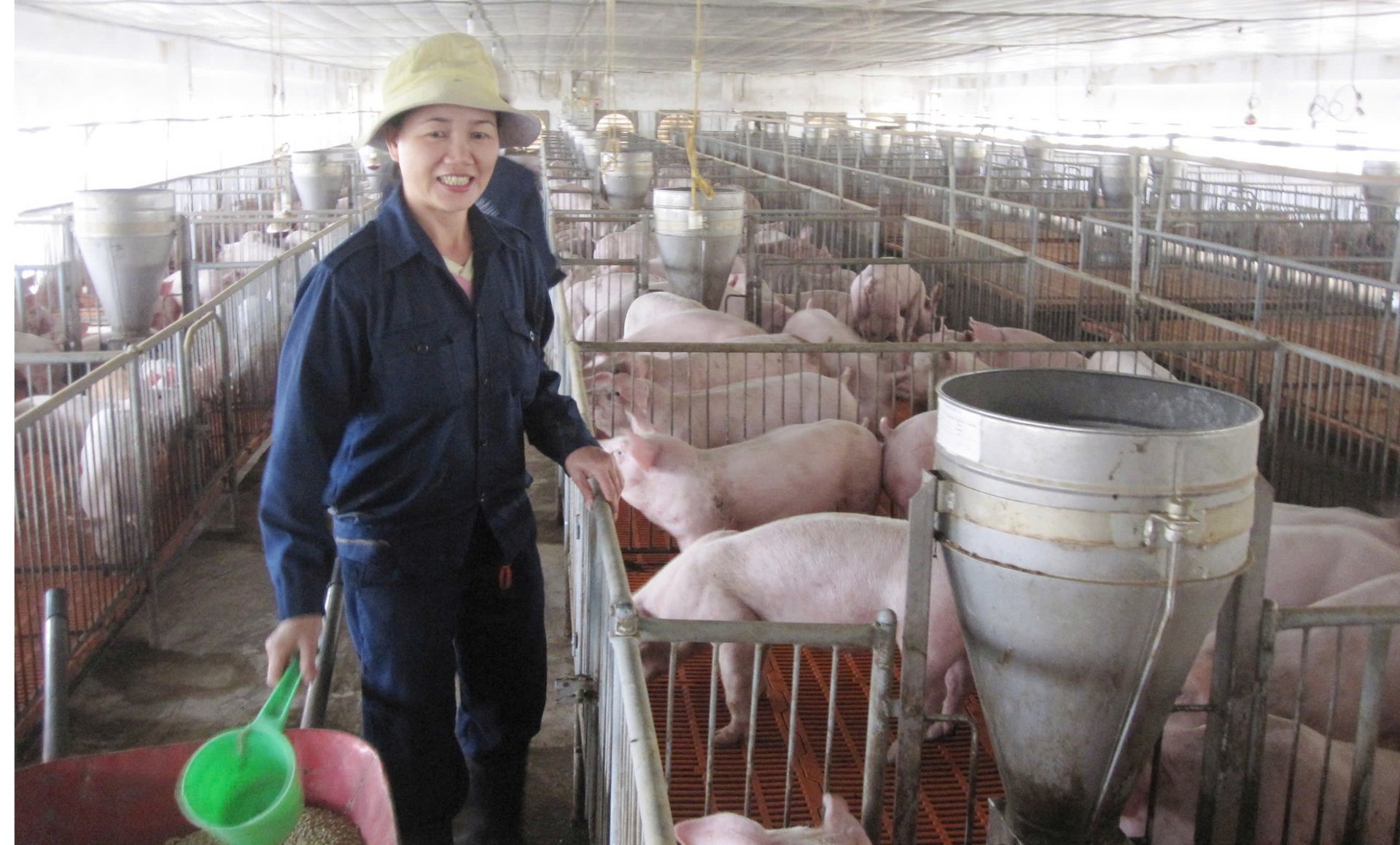 Làm tốt nhiệm vụ phòng, chống dịch bệnh là ngành chăn nuôi sẽ đạt được sự phát triển bền vững. Ảnh: T. Phùng. Làm tốt nhiệm vụ phòng, chống dịch bệnh là ngành chăn nuôi sẽ đạt được sự phát triển bền vững. Ảnh: T. Phùng.