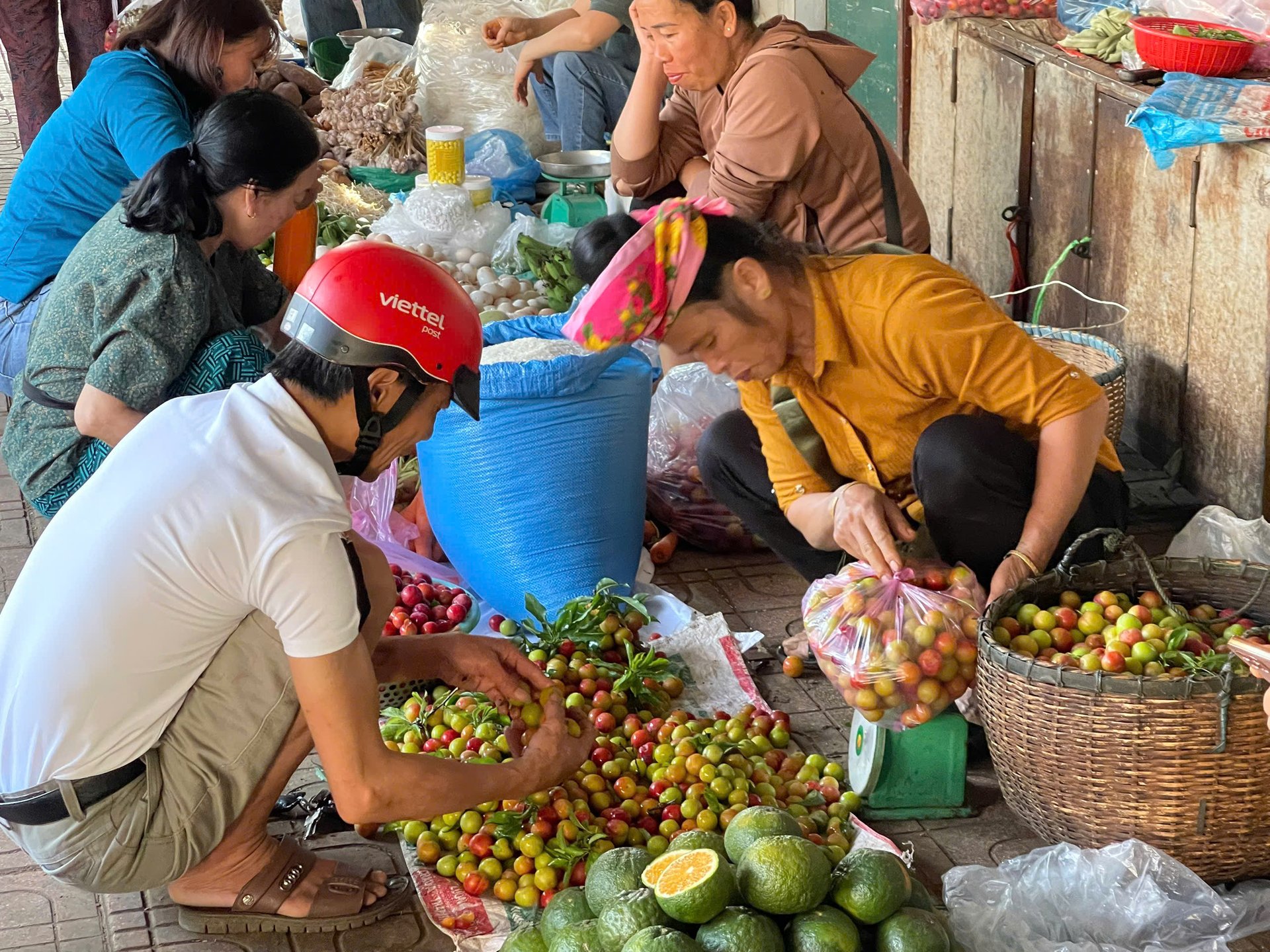 Người dân hái mận mang xuống bán tại các chợ ở thành phố Sơn La. Ảnh: Nguyễn Nga. Người dân hái mận mang xuống bán tại các chợ ở thành phố Sơn La. Ảnh: Nguyễn Nga.