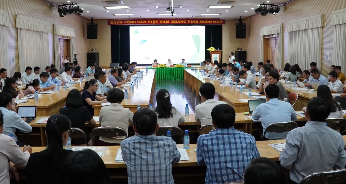 Hội thảo có sự tham dự của nhiều chuyên gia, cơ quan quản lý và các viện, trường. Ảnh: Lê Bình. Hội thảo có sự tham dự của nhiều chuyên gia, cơ quan quản lý và các viện, trường. Ảnh: Lê Bình.
