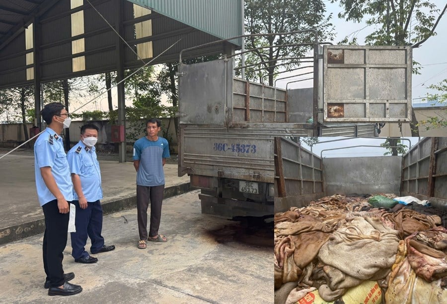 Lực lượng chức năng kiểm tra số da trâu, bò bốc mùi không rõ nguồn gốc. Ảnh: Công an tỉnh Thanh Hóa. Lực lượng chức năng kiểm tra số da trâu, bò bốc mùi không rõ nguồn gốc. Ảnh: Công an tỉnh Thanh Hóa.