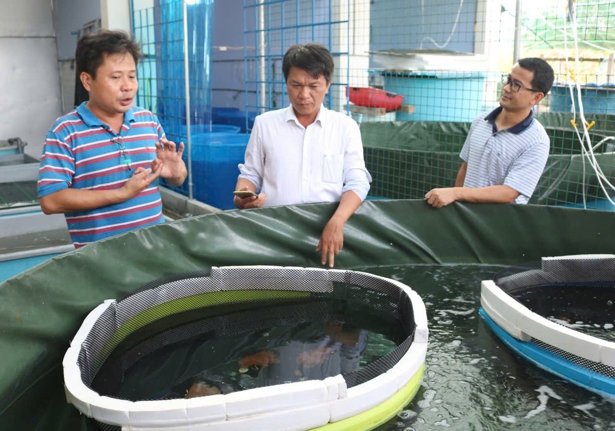 Những năm qua, Viện III đã nghiên cứu và chuyển giao rất nhiều giống có giá trị cao phục vụ nuôi trồng thủy sản. Ảnh: Kim Sơ. Những năm qua, Viện III đã nghiên cứu và chuyển giao rất nhiều giống có giá trị cao phục vụ nuôi trồng thủy sản. Ảnh: Kim Sơ.