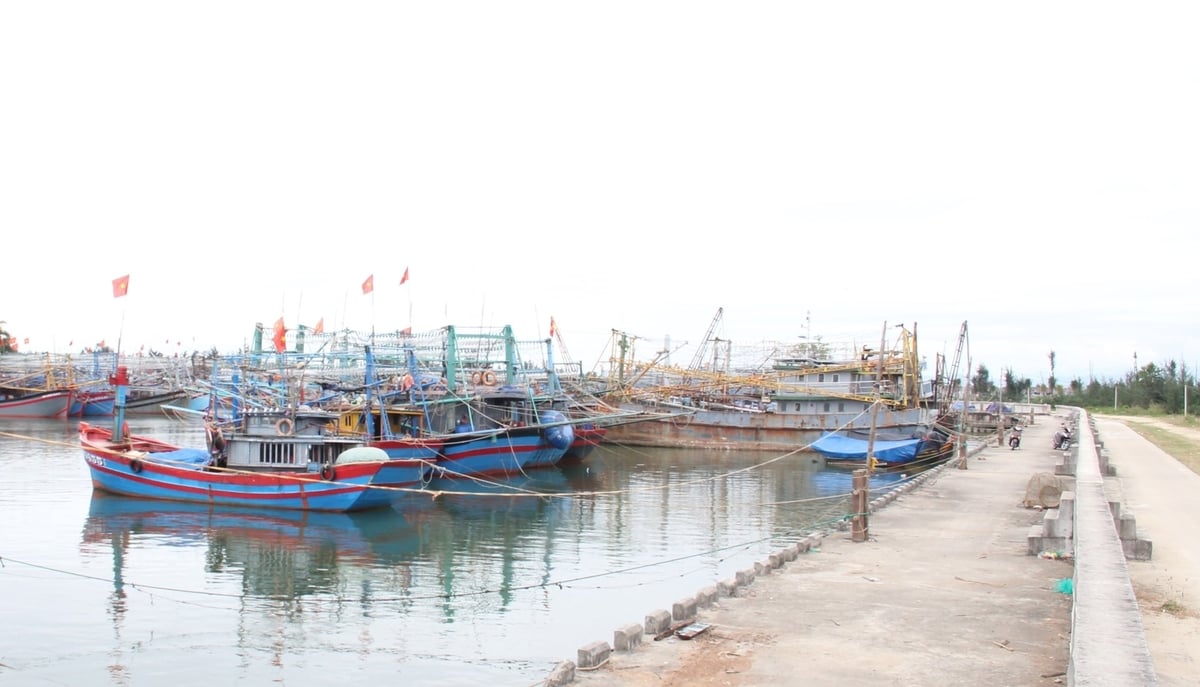 Những năm qua, tỉnh Quảng Nam đã đầu tư, xây dựng các khu neo đậu để từng bước hoàn thiện hạ tầng nghề cá địa phương. Ảnh: Lê Khánh. Những năm qua, tỉnh Quảng Nam đã đầu tư, xây dựng các khu neo đậu để từng bước hoàn thiện hạ tầng nghề cá địa phương. Ảnh: Lê Khánh.
